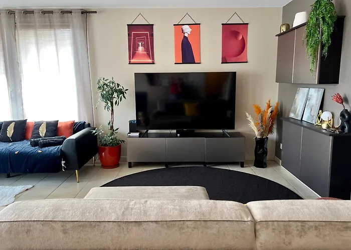 Appartement Climatise 3 Etoiles T3 Chic A Strasbourg Avec Billard Et Terrasse